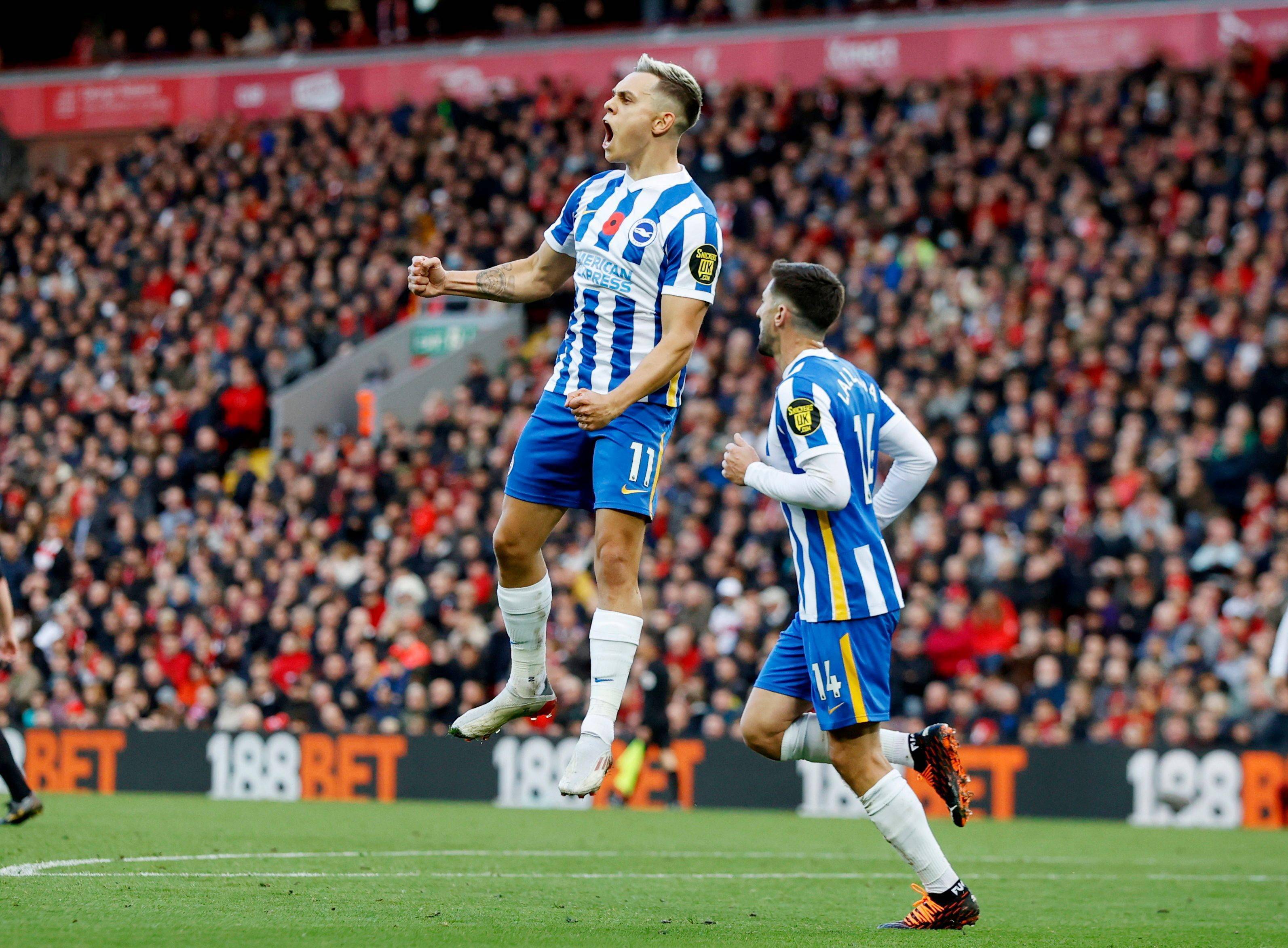 0个正式主 0个正式主