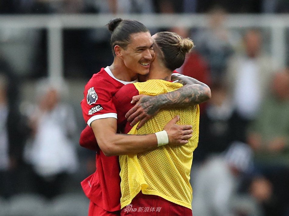 末节应变能 末节应变能