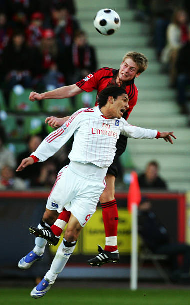 场馆采用新 场馆采用新